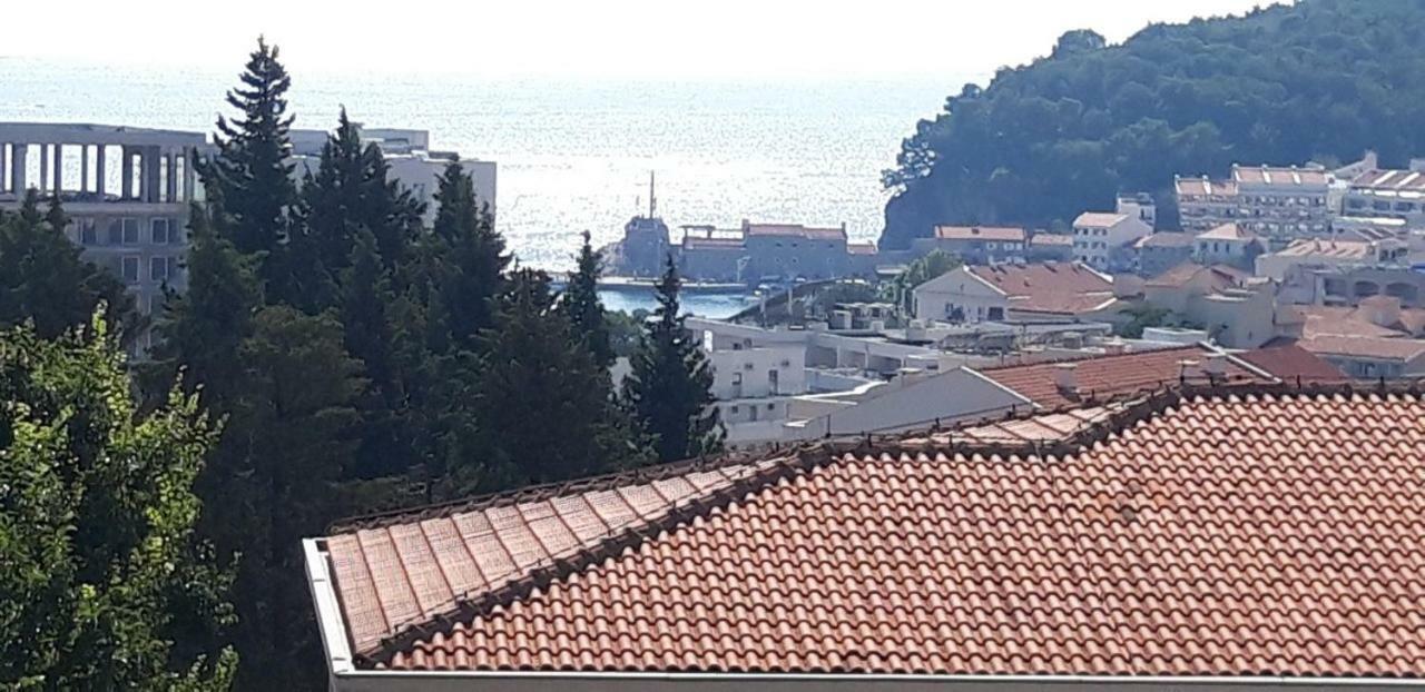 Apartmani Neda Bane Petrovac Exterior foto